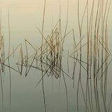 Fotowettbewerb Adlerauge 2010: Die Gewinnerfotos