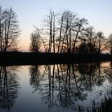 Fotowettbewerb Adlerauge 2010: Die Gewinnerfotos - Bild 3