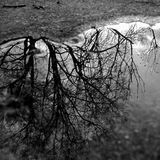 Fotowettbewerb Adlerauge 2010: Die Gewinnerfotos - Bild 5