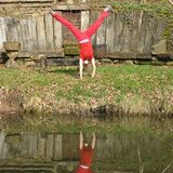 Fotowettbewerb Adlerauge 2010: Die Gewinnerfotos - Bild 7