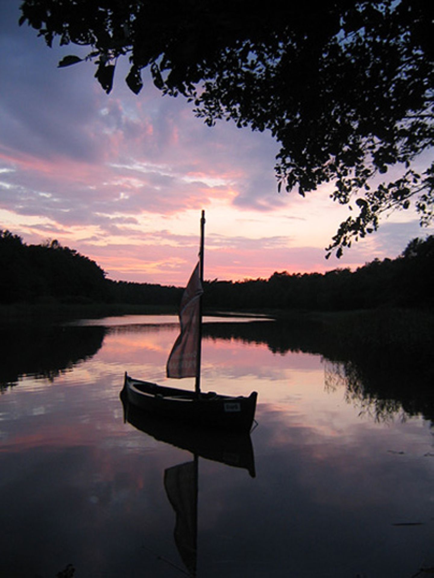 Fotowettbewerb Adlerauge 2010: Die Gewinnerfotos - Bild 8