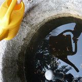 Fotowettbewerb Adlerauge 2010: Die Gewinnerfotos - Bild 10