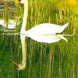 Fotowettbewerb Adlerauge 2010: Die Gewinnerfotos - Bild 12