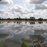 Fotowettbewerb Adlerauge 2010: Die Gewinnerfotos - Bild 13