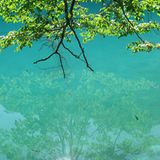 Fotowettbewerb Adlerauge 2010: Die Gewinnerfotos - Bild 16