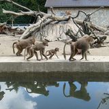 Fotowettbewerb Adlerauge 2010: Die Gewinnerfotos - Bild 17