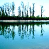 Fotowettbewerb Adlerauge 2010: Die Gewinnerfotos - Bild 18