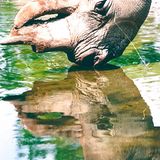 Fotowettbewerb Adlerauge 2010: Die Gewinnerfotos - Bild 19