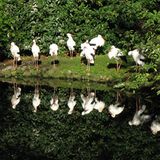 Fotowettbewerb Adlerauge 2010: Die Gewinnerfotos - Bild 21