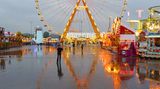 Fotowettbewerb Adlerauge 2010: Die Gewinnerfotos - Bild 24