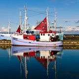 Fotowettbewerb Adlerauge 2010: Die Gewinnerfotos - Bild 25