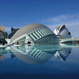 Fotowettbewerb Adlerauge 2010: Die Gewinnerfotos - Bild 26