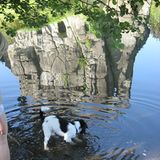 Fotowettbewerb Adlerauge 2010: Die Gewinnerfotos - Bild 27