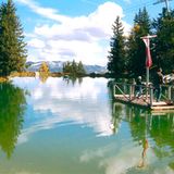 Fotowettbewerb Adlerauge 2010: Die Gewinnerfotos - Bild 28