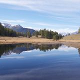 Fotowettbewerb Adlerauge 2010: Die Gewinnerfotos - Bild 29