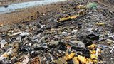 Elektroschrott vergiftet das Flusswasser