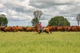 Jillaroos - Cowgirls im australischen Outback