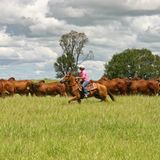 Jillaroos - Cowgirls im australischen Outback