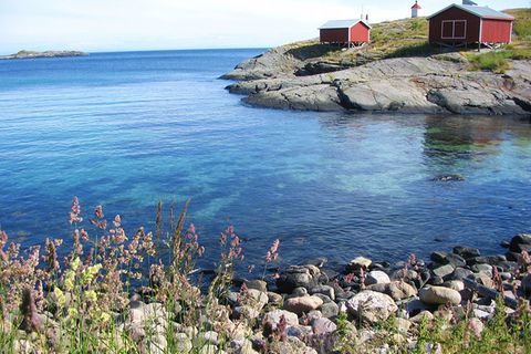 Norwegen: Hochseeangeln für Anfänger
