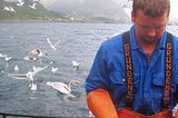 Norwegen: Hochseeangeln für Anfänger - Bild 5
