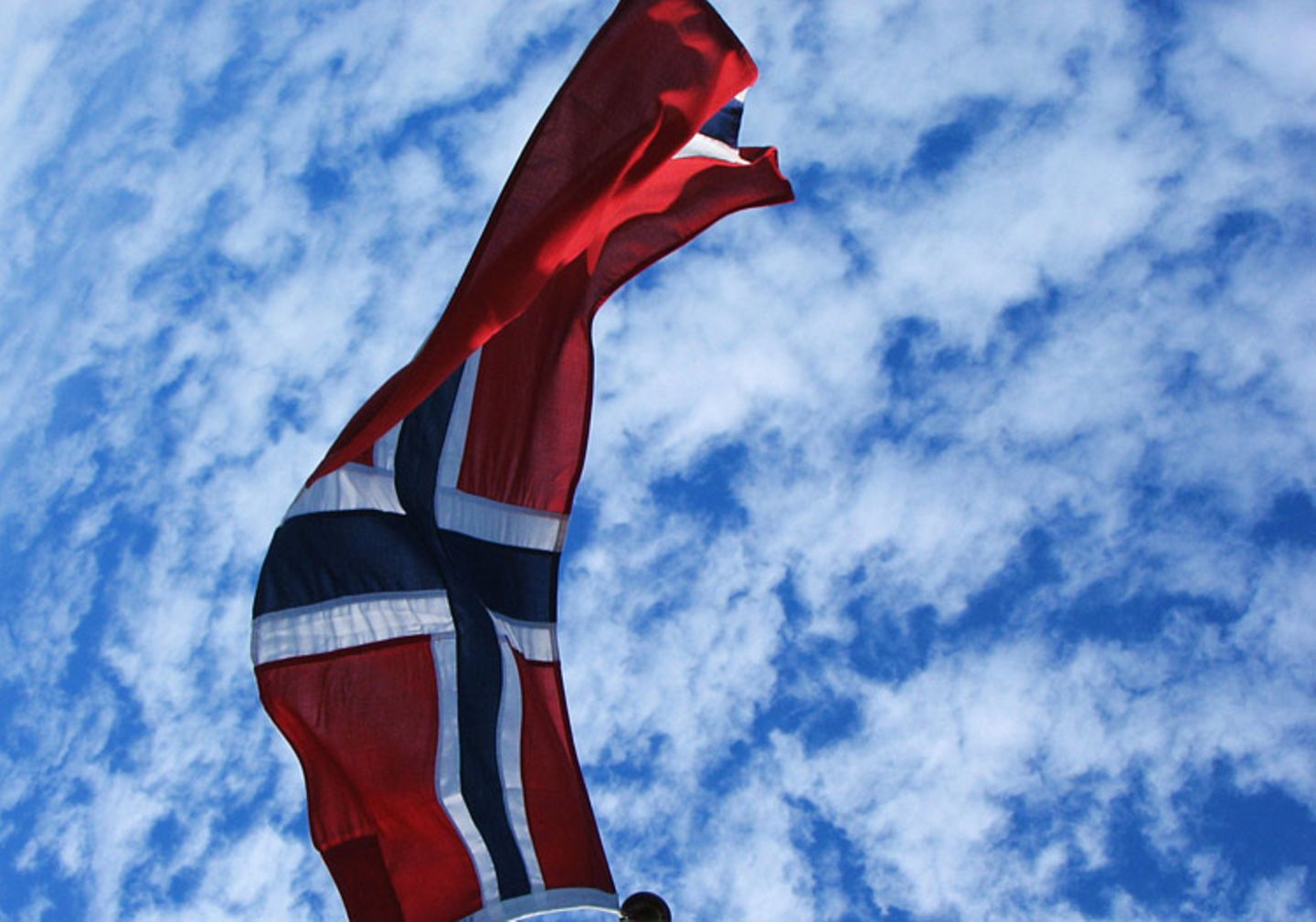 Norwegen: Hochseeangeln für Anfänger - Bild 7