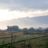 Lou Ker lernt Lao - Bild 8