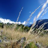 Ausblick auf den Aoraki (Mount Cook), Neuseeland