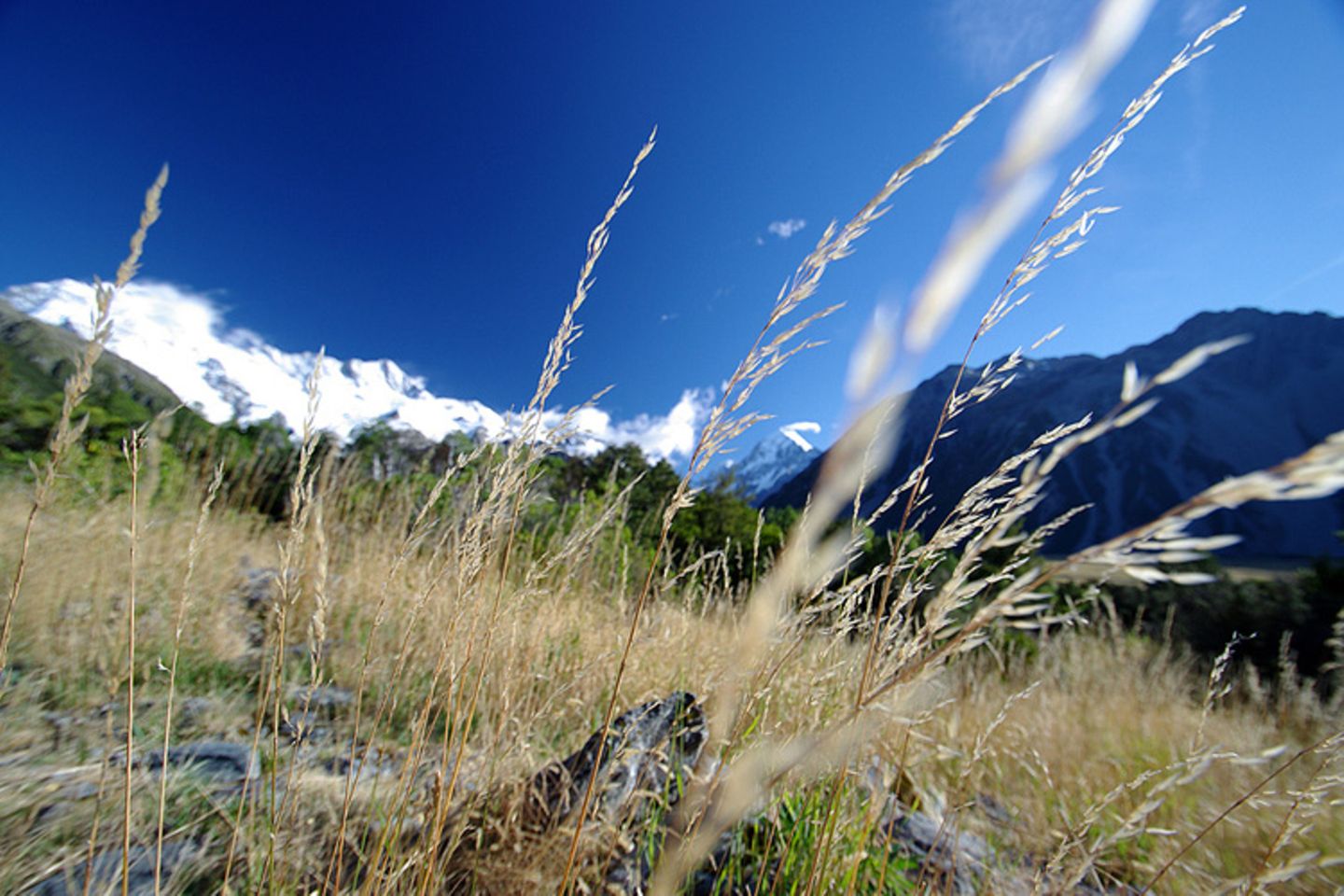 Ausblick auf den Aoraki (Mount Cook), Neuseeland