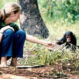 Ein Leben für den Naturschutz - Bild 5