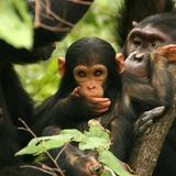 Ein Leben für den Naturschutz - Bild 6