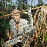 Taipan, die gefährlichste Schlange der Welt