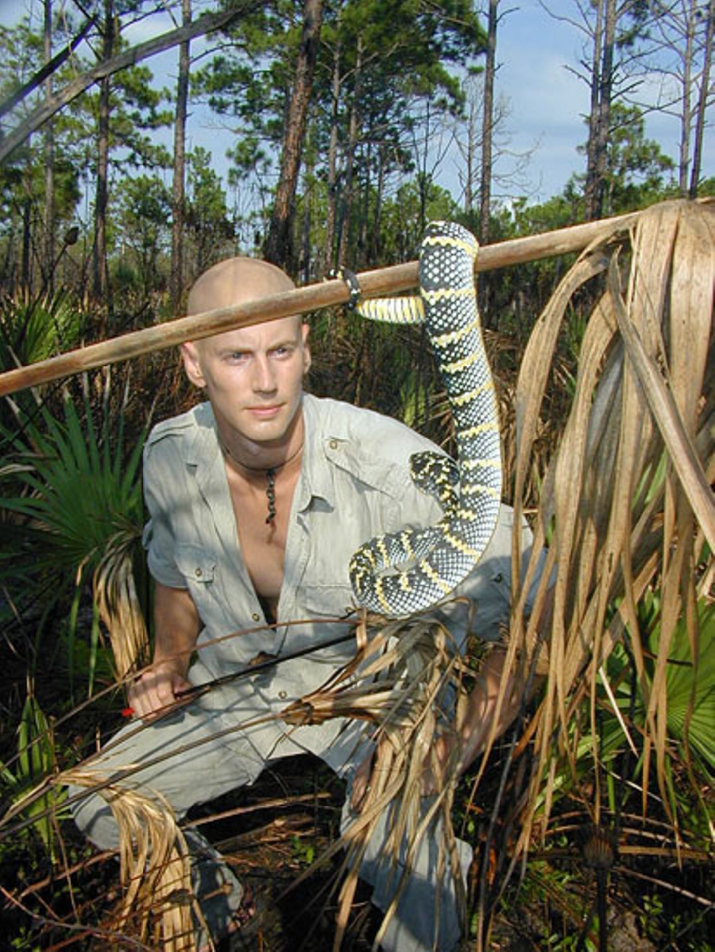 Taipan, die gefährlichste Schlange der Welt