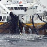 Fotogalerie: Die Erde im Würgegriff - Bild 2