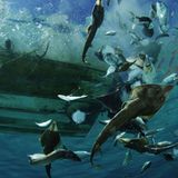 Fotogalerie: Die Erde im Würgegriff - Bild 3