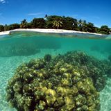 Fotogalerie: Die Erde im Würgegriff - Bild 4