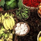 Fotogalerie: Die Erde im Würgegriff - Bild 8