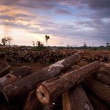 Fotogalerie: Die Erde im Würgegriff - Bild 9