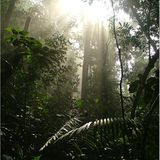 Fotogalerie: Die Erde im Würgegriff - Bild 10