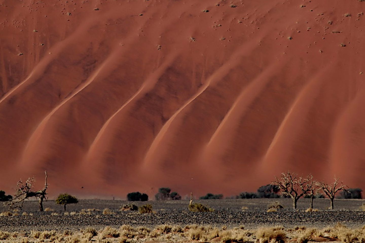 Dünenlandschaft, Namib-Naukluft, Namibia