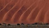 Dünenlandschaft, Namib-Naukluft, Namibia