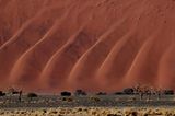 Dünenlandschaft, Namib-Naukluft, Namibia