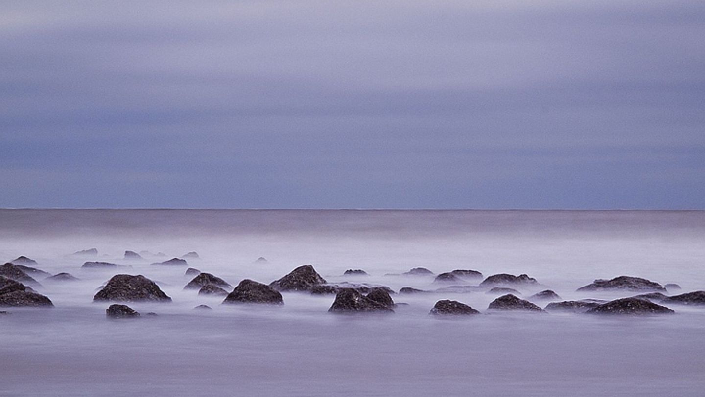 Mit Muscheln überzogene Steine im Atlantik vor South Carolina