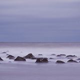 Mit Muscheln überzogene Steine im Atlantik vor South Carolina