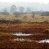 Deutsch-Belgischer Naturpark Hohes Venn