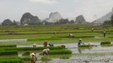 Trockenen Halong-Bucht, Vietnam