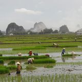 Trockenen Halong-Bucht, Vietnam