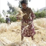 Fotostrecke: Endlich sauberes Wasser - Bild 4