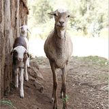 Fotostrecke: Endlich sauberes Wasser - Bild 6