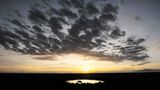 Hyäne bei Sonnenaufgang