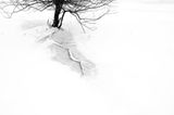 The Art of Light II